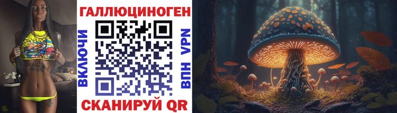 Псилоцибиновые грибы мицелий даркнет сайт нарко площадка наркотические препараты Кропоткин
