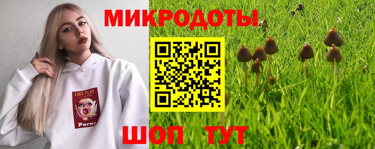 Кропоткин  Псилоцибиновые грибы GOLDEN TEACHER  Галлюциногенные грибы Magic Shrooms  купить наркотики сайты  Вход с VPN 