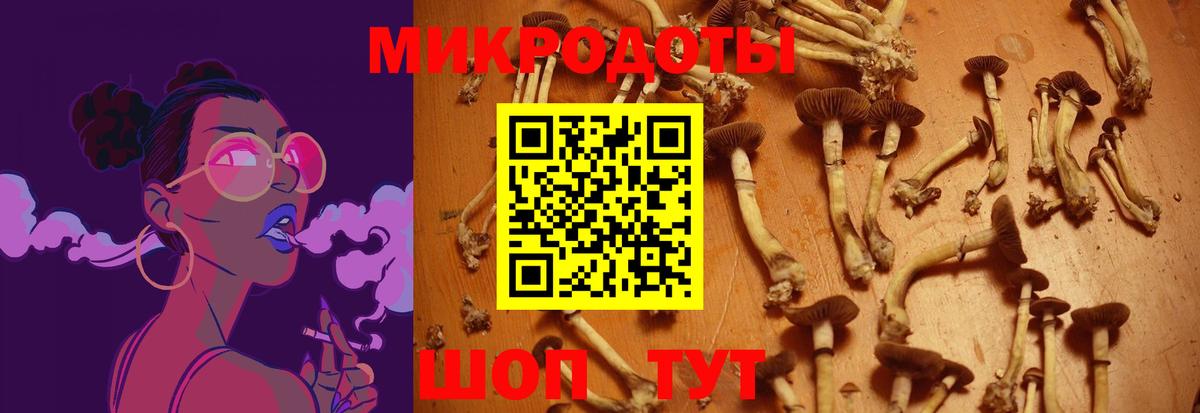Псилоцибиновые грибы мухоморы Кропоткин